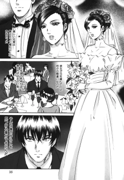 Page 39 of Chijoku no Meikyuu