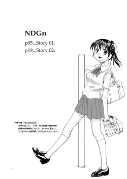 Page 3 of NDG01*