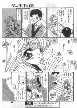 Page 43 of COMIC Papipo Gaiden 1998-05