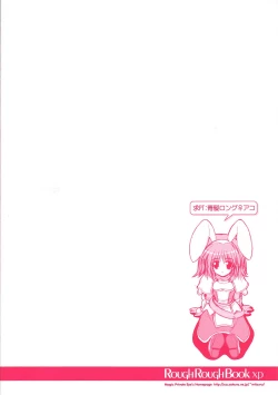 Page 10 of Rough Rough Book XP