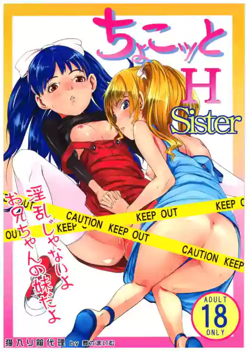 (C71) [Neko iri bako dairi (Maimu-Maimu)] Chokotto H Sister (Chokotto Sister)