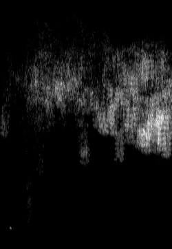 Page 6 of Soshite Boku wa Sono Suisen ni Miirareta.