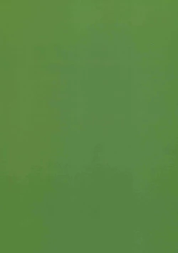 Page 2 of Namecha Dame