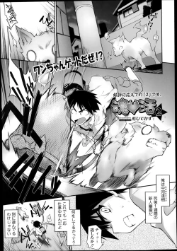 Page 21 of Kon Katsu