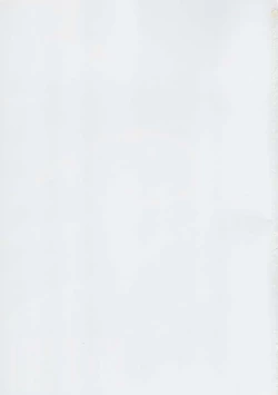 Page 32 of SONIC GIRL