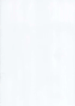 Page 3 of SONIC GIRL