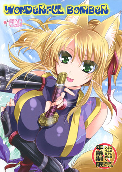 Download Wonderful Bomber