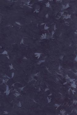 Page 2 of Karan Garan