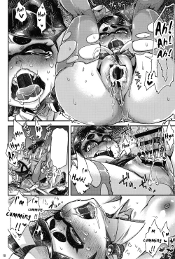 Page 17 of Ika no Seitai Chousa Houkokusho