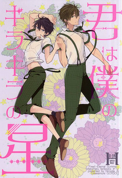 (C88) [Otawamure GO!GO! (Nimoda Ai)] Kimi wa Boku no Kirakira no Hoshi (Free!)