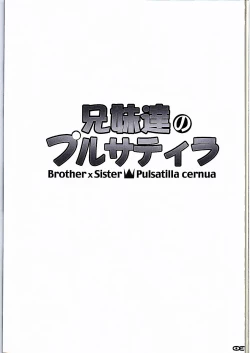 Page 3 of Kyoudai-tachi no Pulsatilla