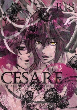 Page 1 of CESARE