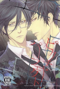 Page 1 of ピクチャー・パーフェクト