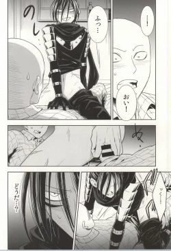 Page 13 of stray cat