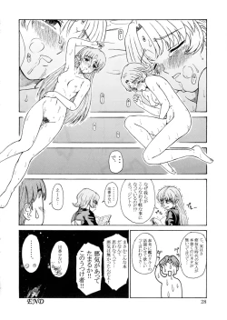 Page 28 of Tsuihou Kakugo Ver.9.0