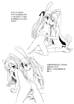 Page 23 of Kona-Kaga Offline