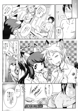 Page 196 of COMIC Megastore 2007-03