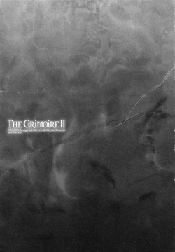 Page 211 of Shinkyoku no Grimoire II