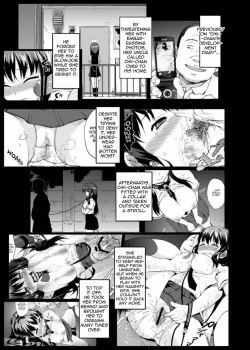 Page 2 of Chiichan Development Diary 3