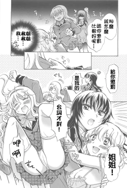 Page 25 of Watashi no Ikenai Oneechan + Watashi no Itoshii Onee-chan