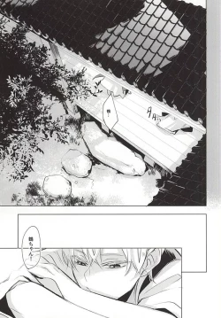Page 29 of Kasanaranai Omokage