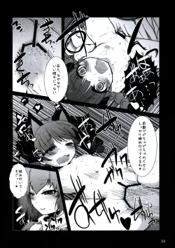 Page 33 of All About AAA