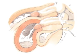 Page 136 of Mama Sho-time Kyoudai Hen