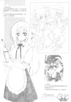 Page 13 of ANGEL ARMS