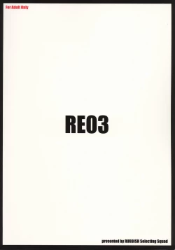 Page 41 of RE 03