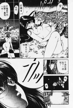 Page 146 of Wild Cats | 性感小野貓