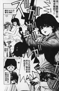 Page 27 of Wild Cats | 性感小野貓