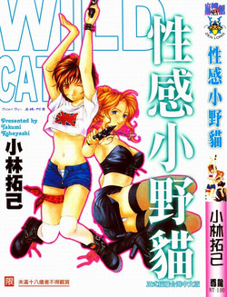 [Kobayashi Takumi] Wild Cats | 性感小野貓 [Chinese] [Incomplete]
