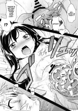 Page 16 of LOTUS BREAKDOWN