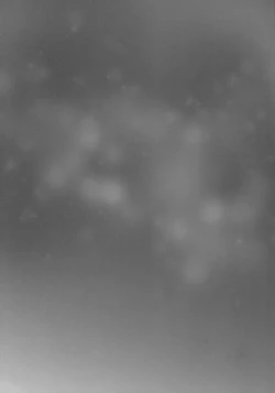 Page 19 of Slave market II