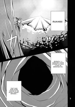 Page 4 of Touhou Mureiden