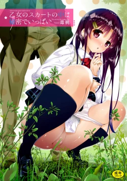 Page 2 of Otome no Skirt no naka wa Himitsu de Ippai