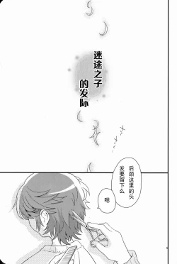 Page 4 of Maigo no Eriashi | 迷途之子的发标