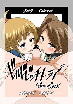 Download Build Bitch Try