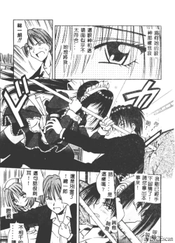 Page 14 of Palladium Garden