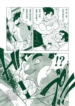 Page 12 of NGC Satogaeri | 归乡