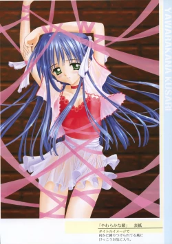 Page 12 of Hontouni Taisetsu na Mono - The really important one.