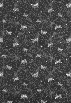 Page 24 of Kashima Practice