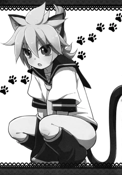 Page 21 of Matamata Cat