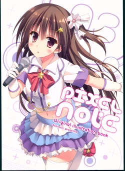 Page 1 of PIXEL NOTE 3