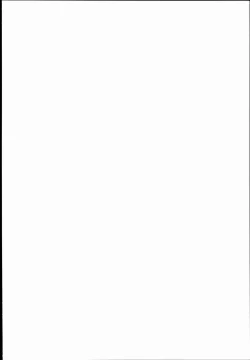 Page 2 of D.L. action 101