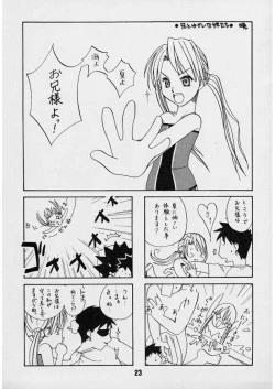 Page 22 of Sis-Con 3