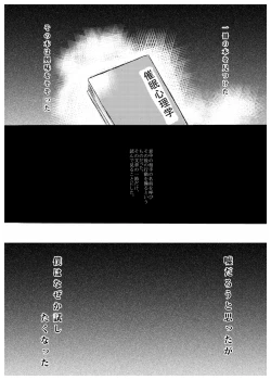 Page 3 of LISE's Fault