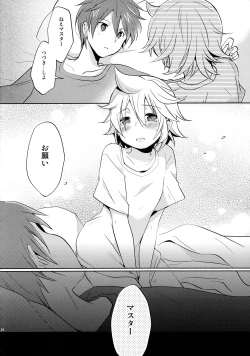 Page 24 of Sairokushi Master