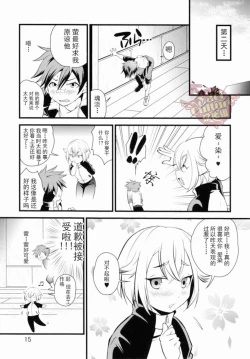 Page 14 of Aikata no Are ga Ooki Sugiru Kudan