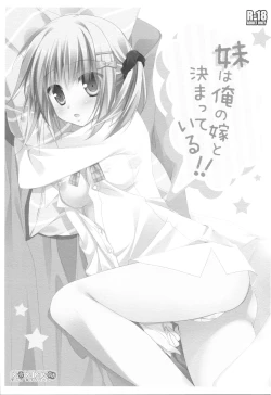 Page 2 of Imouto wa Ore no Yome to Kimatte iru!!